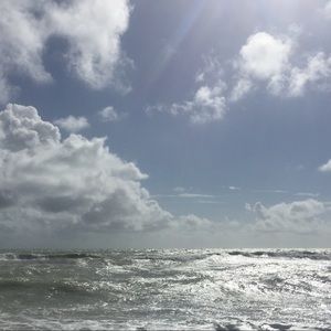 Meet your Posher, Phoebe